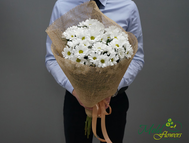 Красивый букет из белых хризантем фото